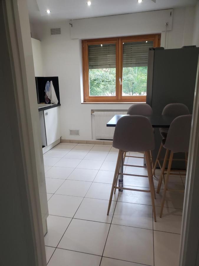 Appartement meublé aux portes de Genève Annemasse Esterno foto